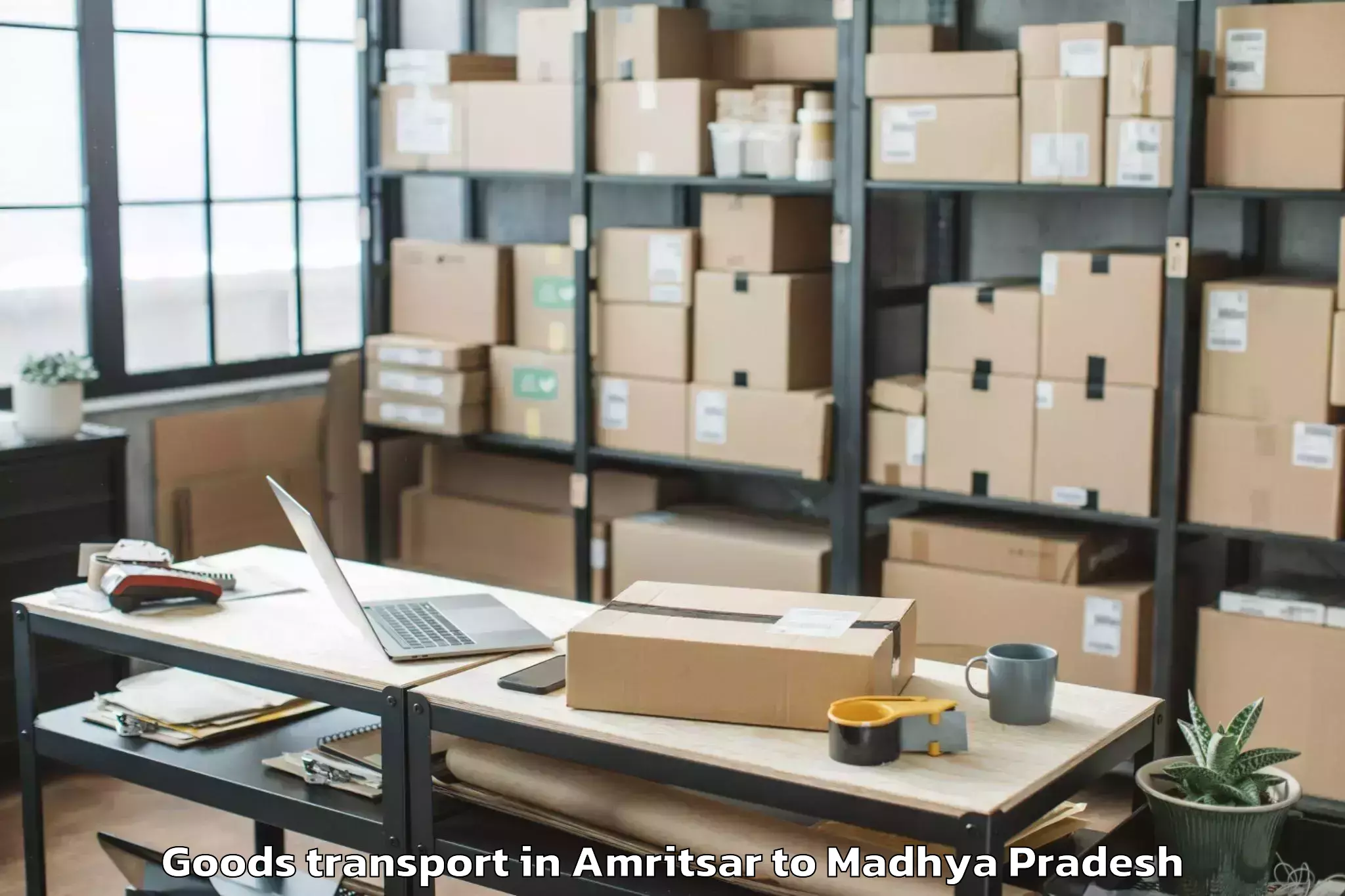 Top Amritsar to Tekanpur Goods Transport Available